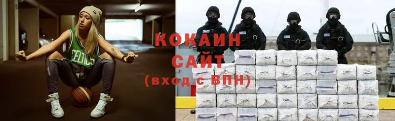 Cocaine FishScale  магазин продажи наркотиков  Демидов 